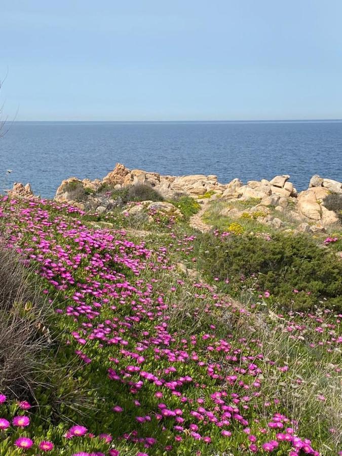 Villa Casa Mughetto R5055 Seafront, Private Sea Access, Swimming Pool La Maddalena  Exterior foto