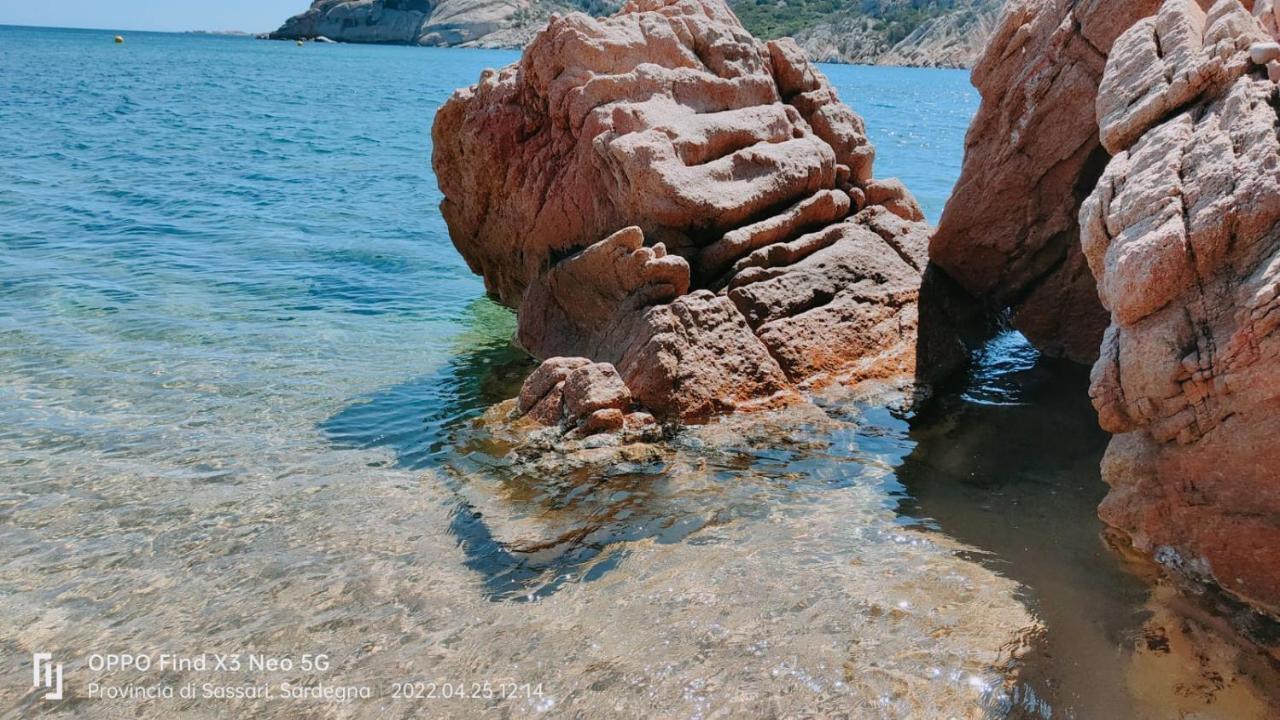 Villa Casa Mughetto R5055 Seafront, Private Sea Access, Swimming Pool La Maddalena  Exterior foto